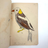 Bird Book! Delightful c. 1930s Handmade Book with 18 Naive Crayon Bird Drawings