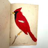 Bird Book! Delightful c. 1930s Handmade Book with 18 Naive Crayon Bird Drawings