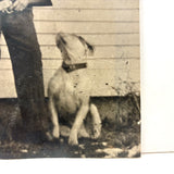 Man with Knife and Rifle, Dog with Head Turned, Large Paper Print Photo