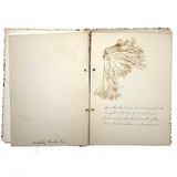 Victorian Sea Moss Specimens Album with Manuscript Poems, Boothbay Harbor and Nantucket