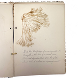 Victorian Sea Moss Specimens Album with Manuscript Poems, Boothbay Harbor and Nantucket