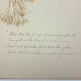 Victorian Sea Moss Specimens Album with Manuscript Poems, Boothbay Harbor and Nantucket