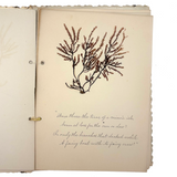Victorian Sea Moss Specimens Album with Manuscript Poems, Boothbay Harbor and Nantucket