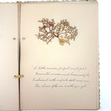 Victorian Sea Moss Specimens Album with Manuscript Poems, Boothbay Harbor and Nantucket