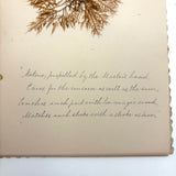 Victorian Sea Moss Specimens Album with Manuscript Poems, Boothbay Harbor and Nantucket