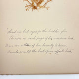 Victorian Sea Moss Specimens Album with Manuscript Poems, Boothbay Harbor and Nantucket