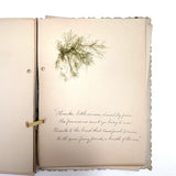Victorian Sea Moss Specimens Album with Manuscript Poems, Boothbay Harbor and Nantucket