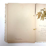 Victorian Sea Moss Specimens Album with Manuscript Poems, Boothbay Harbor and Nantucket
