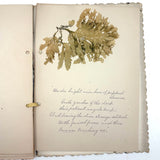 Victorian Sea Moss Specimens Album with Manuscript Poems, Boothbay Harbor and Nantucket