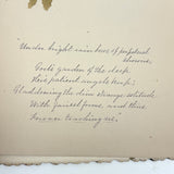 Victorian Sea Moss Specimens Album with Manuscript Poems, Boothbay Harbor and Nantucket