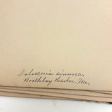 Victorian Sea Moss Specimens Album with Manuscript Poems, Boothbay Harbor and Nantucket