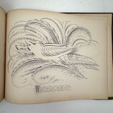 Scarce Copy of Williams & Packard's Original Gems of Penmanship, 1867, with Inked Calligraphy Dedication and Fantastic Alphabets