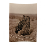 Very Scholarly Looking Owl! Sepia Print Photo on Card