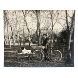 Young Man with Setter and Safety Bicycle, Ultra Sharp Paper Print from Glass Plate Negative c. 1900