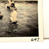 Gathering at the Pool, Very Wonderful Hand-colored Snapshot with Bubble Gum Colored Swim Caps