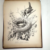 Scarce Copy of Williams & Packard's Original Gems of Penmanship, 1867, with Inked Calligraphy Dedication and Fantastic Alphabets