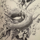 Scarce Copy of Williams & Packard's Original Gems of Penmanship, 1867, with Inked Calligraphy Dedication and Fantastic Alphabets