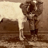 Portrait of Man, Child and Prized Milking Goat Just Milked, Giorgio Conrad, Naples, Italy, c. 1860s CDV