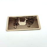 Portrait of Man, Child and Prized Milking Goat Just Milked, Giorgio Conrad, Naples, Italy, c. 1860s CDV