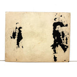 SPEED KINGS Racing to the Finish, Early 1900s Snapshot with Best  Hand written Caption