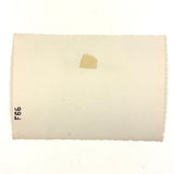 Bright White, Super Crisp c. 1940s-50s Snapshot of Joyful Young Women at Beach