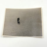 Lone Clam Digger in Knee Deep Water, Existential (And Zen) Feeling Paper Print Photo