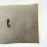 Lone Clam Digger in Knee Deep Water, Existential (And Zen) Feeling Paper Print Photo