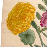 Three Flowers, Blue Ribbons, Many Nasturtium Leaves, Lovely 19th Century Folk Art Watercolor