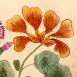 Three Flowers, Blue Ribbons, Many Nasturtium Leaves, Lovely 19th Century Folk Art Watercolor