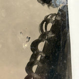 Woman in Black with Painterly Tree, Curious Full Plate Folk Art Tintype