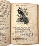 Merry's Book of Puzzles, 1856, with Many Rebuses (and other fun things)