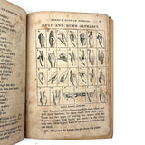 Merry's Book of Puzzles, 1856, with Many Rebuses (and other fun things)