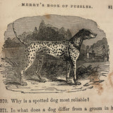 Merry's Book of Puzzles, 1856, with Many Rebuses (and other fun things)
