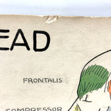 Muscles of the Head, Mid 20th Century Ink and Waterclor School Anatomy Diagram on Board