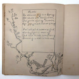 Vivian Lincoln's Grade School Botany Notebook