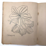 Vivian Lincoln's Grade School Botany Notebook