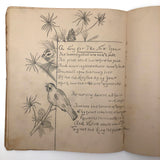Vivian Lincoln's Grade School Botany Notebook