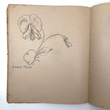 Vivian Lincoln's Grade School Botany Notebook