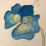 Vivian Lincoln's Grade School Botany Notebook