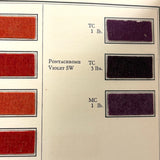 E.I DuPont Chrome Colors for Men's Wear, 90 Color Samples on Pulled Wool, c. 1930s-40s