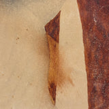 Three Cats with Blue String, c. 1870s Theorem Watercolor in Period Frame