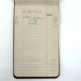 Caroline's 1923-24 Account Book with Excellent Lists of Income and Expenses