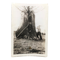 Man vs. Giant Wooden Snake, Curious c. 1940s Snapshot Photo