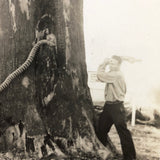 Man vs. Giant Wooden Snake, Curious c. 1940s Snapshot Photo