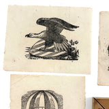Scarce c. 1860s "Transparent Slate" with Eleven Engravings for Tracing