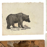 Scarce c. 1860s "Transparent Slate" with Eleven Engravings for Tracing