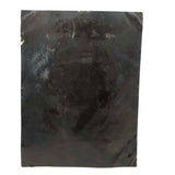 19th C. Folk Art Painted Full Plate Tintype of Stern Looking Couple with Bible (in Large Hand!)