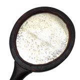 Wonderful Old Folk Art Oak Carved Hand Mirror with Acorns