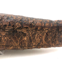 Old Folk Art Carved Found Wood Alligator Head