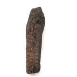 Old Folk Art Carved Found Wood Alligator Head